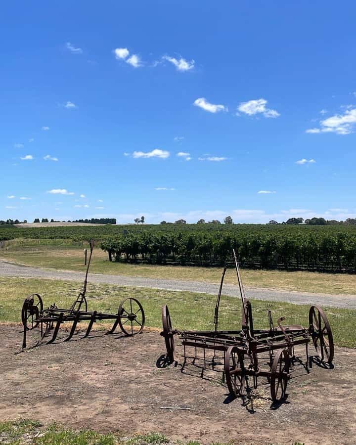 From Adelaide: Barossa to Hahndorf Wine Tasting and Lunch - Price and value: is $114 fair for what you get?