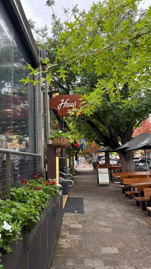 From Adelaide: Hahndorf and Barossa Day Tour with Lunch - Kies Family Wines lunch plus tastings: where the day clicks into gear