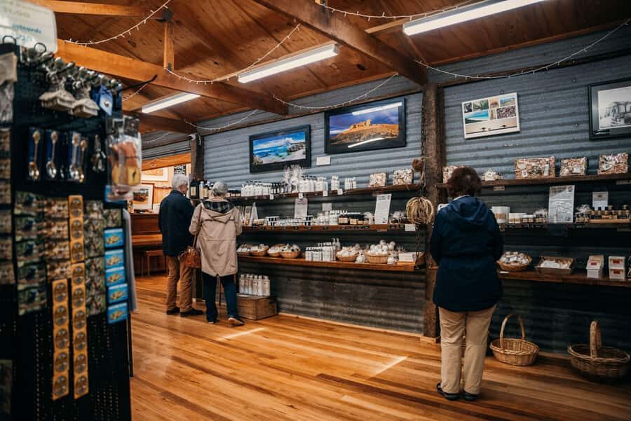 From Adelaide: Kangaroo Island Sip and See Day Trip - Clifford’s Honey Farm: Working Hives and Ligurian Varieties