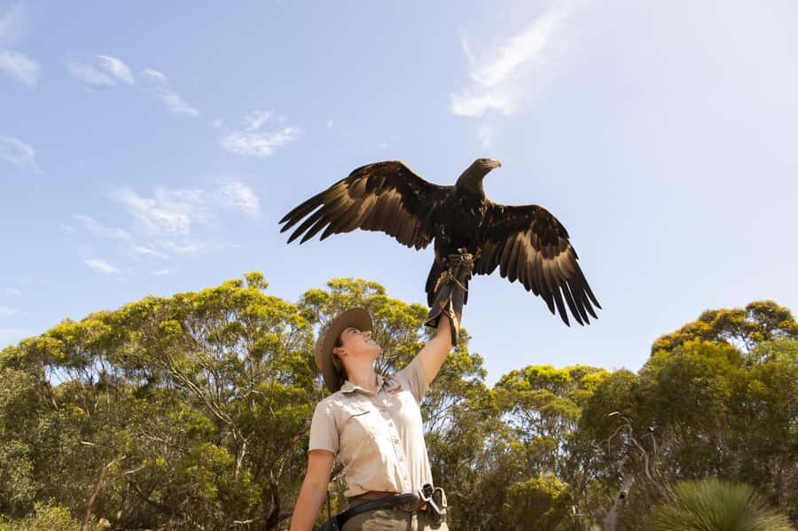 From Adelaide: Kangaroo Island Sip and See Day Trip - False Cape Wines: Structured Tasting With a Recycled-Cellar Backstory