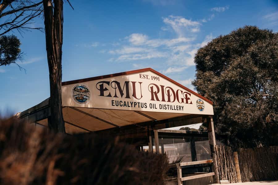 From Adelaide: Kangaroo Island Sip and See Day Trip - Who This Tour Fits Best (and Who Might Prefer a Slower Trip)