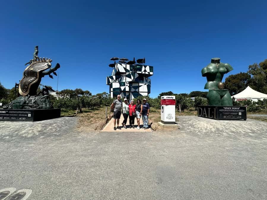 From Adelaide: McLaren Vale Wine Experience - Oliver’s Taranga Vineyards: a guided start you can build on