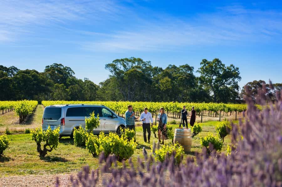 From Adelaide or Barossa: Boutique Barossa Valley Wine Tour - Should you book Boutique Barossa Valley Wine Tour?