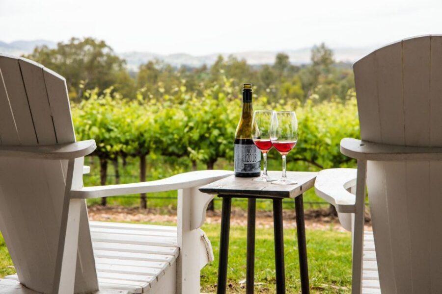 From Adelaide or Barossa: Boutique Barossa Valley Wine Tour - Price and value: why $265 can feel fair (or not) depending on your goals