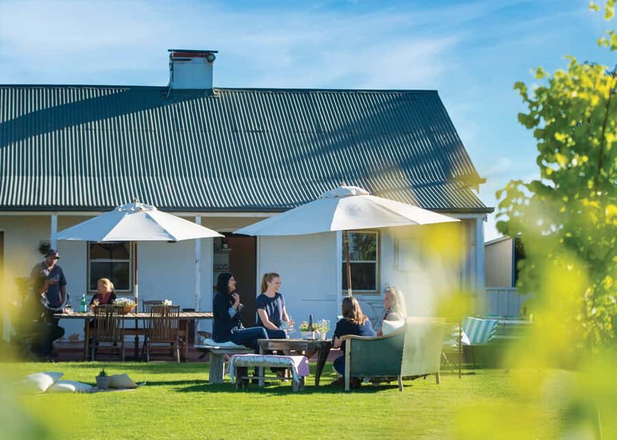 From Adelaide or Barossa: Boutique Barossa Valley Wine Tour - The guide factor: what makes the experience feel polished