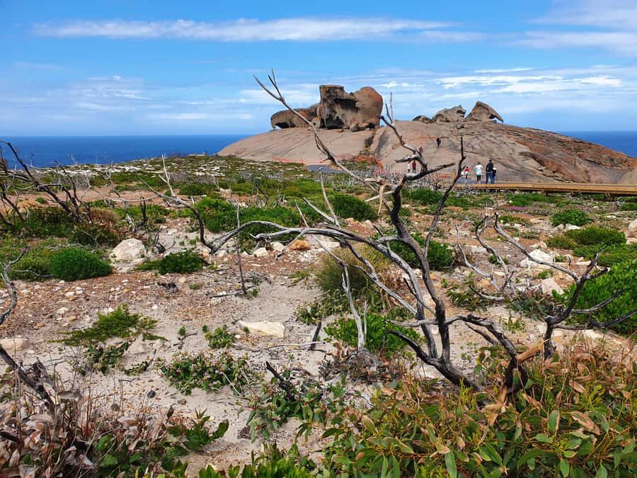 From Adelaide: Premium 2-Day Kangaroo Island Minibus Tour - Flinders Chase National Park: Remarkable Rocks and the Admiral’s Arch story