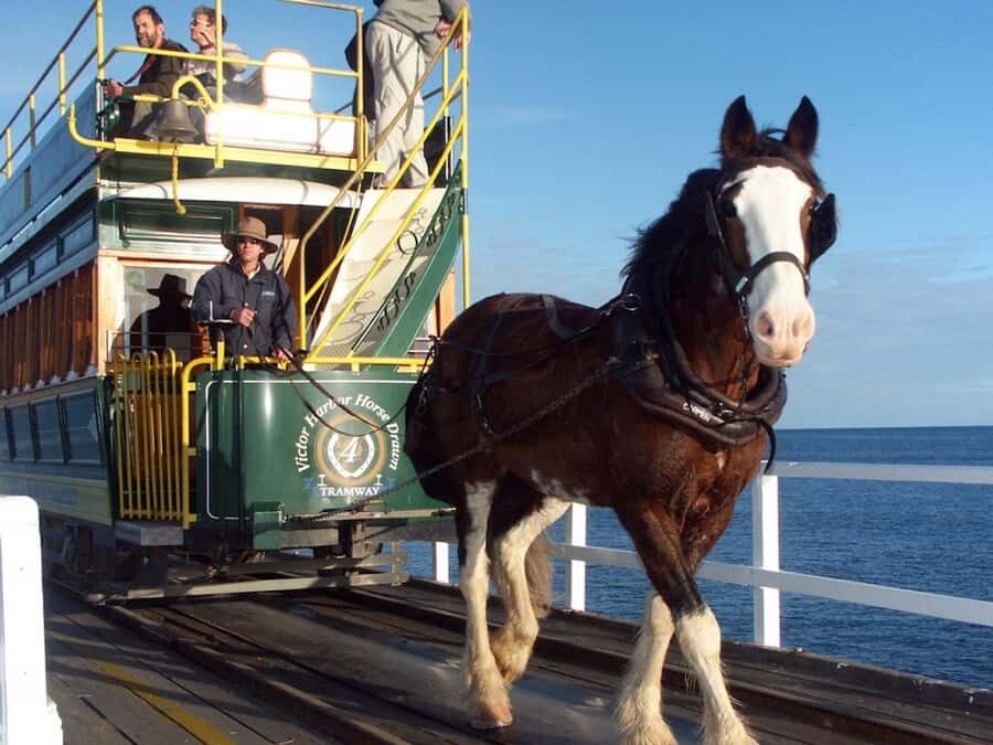 From Adelaide: Victor Harbor & Hahndorf Day Tour - Mount Lofty Summit: quick photos, big view payoff