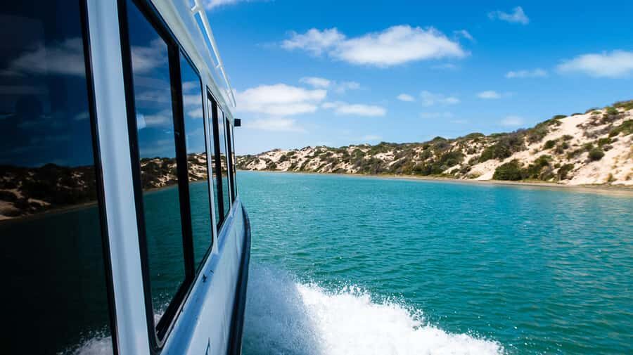 From Goolwa: Half-Day Coorong Experience - Where This Half-Day Fits (and Why It Works)
