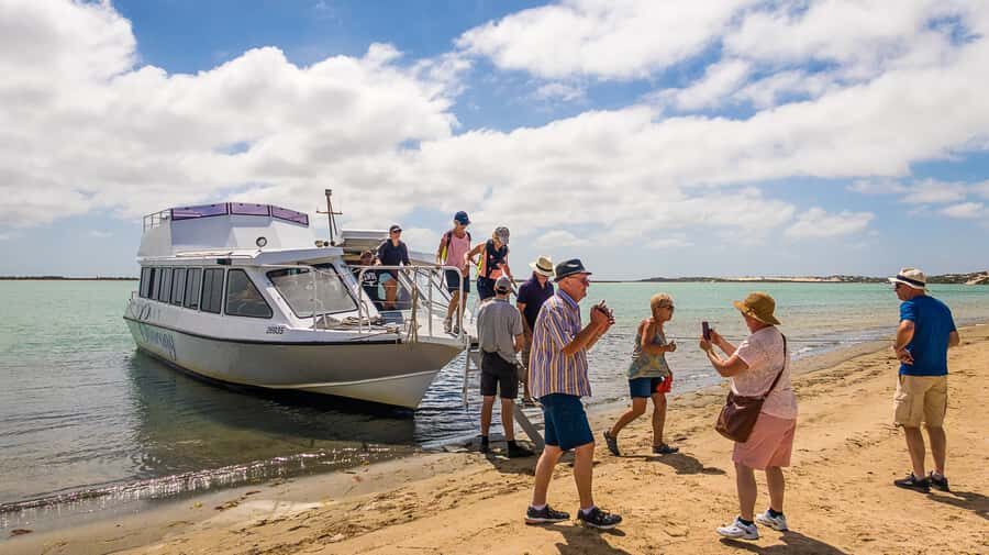 From Goolwa: Half-Day Coorong Experience - Meeting at Goolwa: Start Easy, Not Stressy