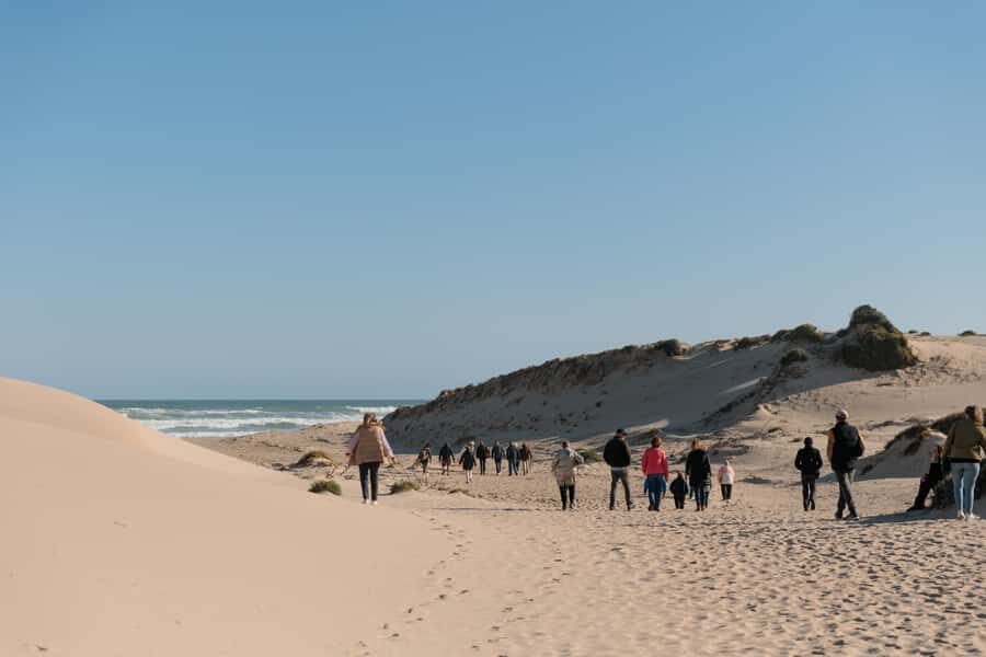 From Goolwa: Half-Day Coorong Experience - Lunch and Afternoon Tea: Why Food Matters Here