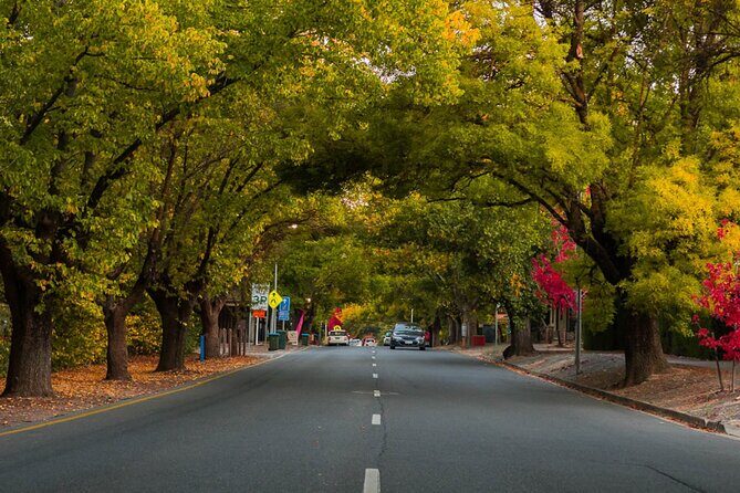 Full Day Adelaide Private Guided Car Tour - A private Adelaide day built around your pace