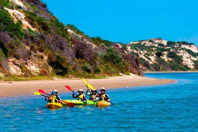 Full Day Kayaking Tour in Coorong National Park - Quick hits before you paddle