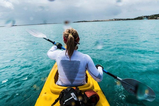 Full Day Kayaking Tour in Coorong National Park - The Coorong kayaking stretch: 3 hours of lagoon time