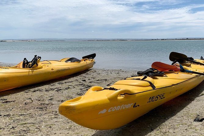 Full Day Kayaking Tour in Coorong National Park - Who should think twice