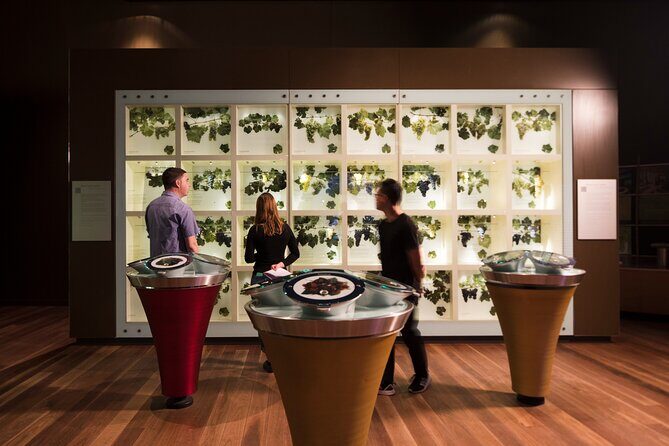 Guided Wine Journey and Discovery Tasting Tour in Adelaide - Key things that make this tour worth your time
