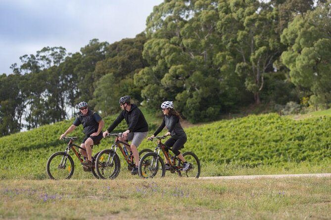 Hahndorf food and wine E-Bike Tour - Quick hits before you book