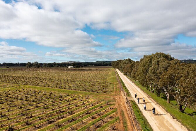 Hahndorf food and wine E-Bike Tour - Why an e-bike plus Adelaide Hills wineries works so well