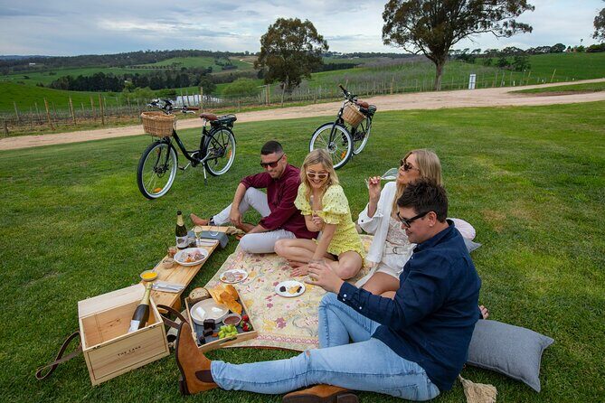 Hahndorf food and wine E-Bike Tour - Shaw and Smith wine flight with a view break