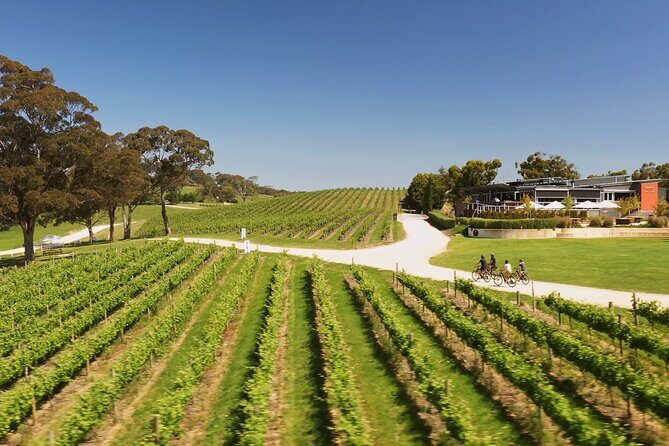 Hahndorf food and wine E-Bike Tour - The Lane Vineyard finish: Taste the Lane and packing up purchases