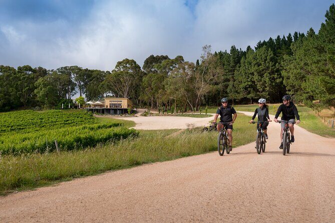 Hahndorf food and wine E-Bike Tour - What’s included in the food and wine, and what’s not