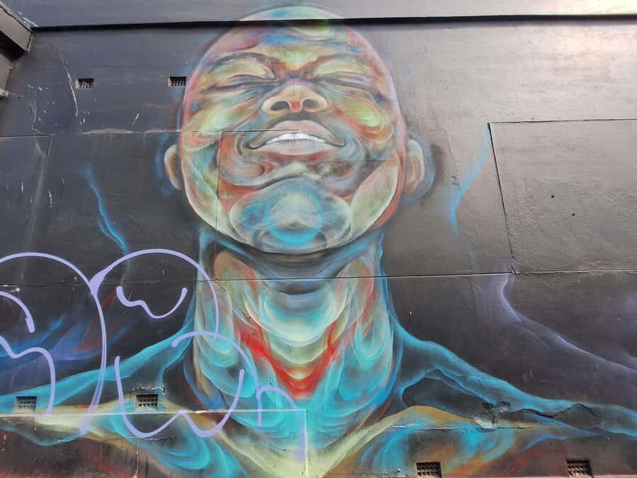 Hidden Adelaide: Laneways & Street Art Tour - Value check: $45 for 2 hours, plus maps and a donation