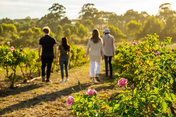 Jurlique Farm Tour - Key things you’ll notice on the Jurlique Farm Tour