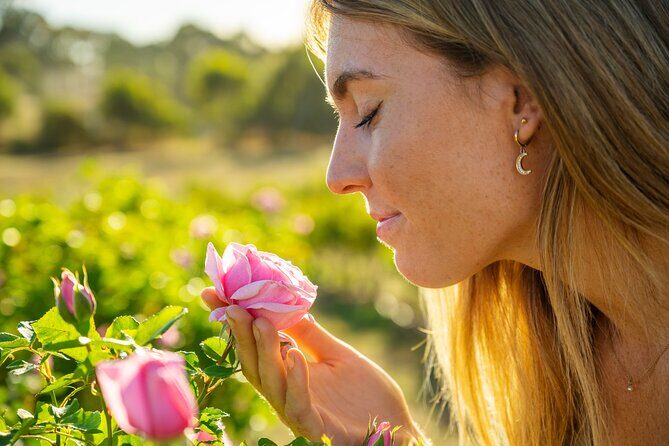 Jurlique Farm Tour - Jurlique’s Adelaide Hills farm tour: why 90 minutes feels like more