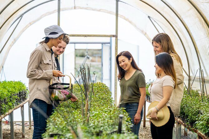 Jurlique Farm Tour - Your guide and the group size: the tour stays human