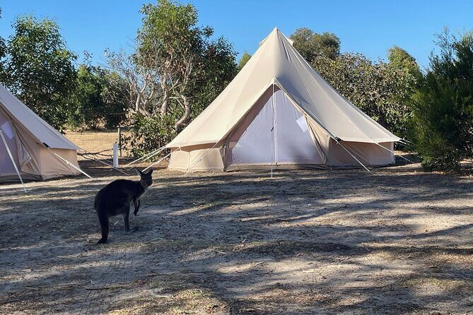 Kangaroo Island 2-Day Wildlife Adventure Small Group tour - From Adelaide to Cape Jervis: the early start that makes the rest possible