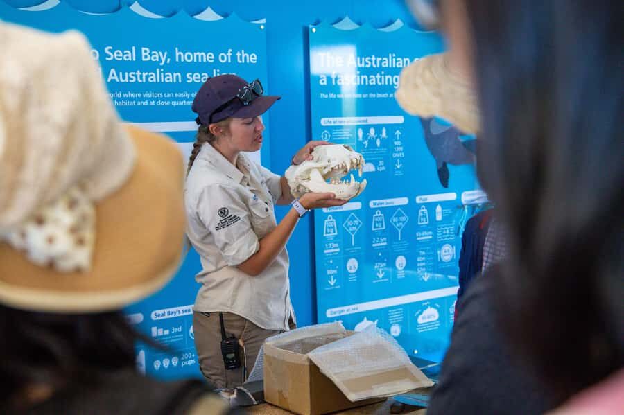 Kangaroo Island Full Day Experience by Ferry Including Lunch - How to make a long day feel manageable (without missing the best parts)