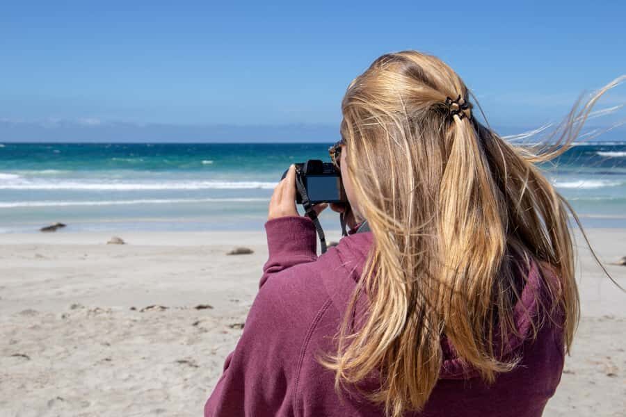 Kangaroo Island Full Day Experience by Ferry Including Lunch - Seal Bay Conservation Park: the guided sea lion beach walk