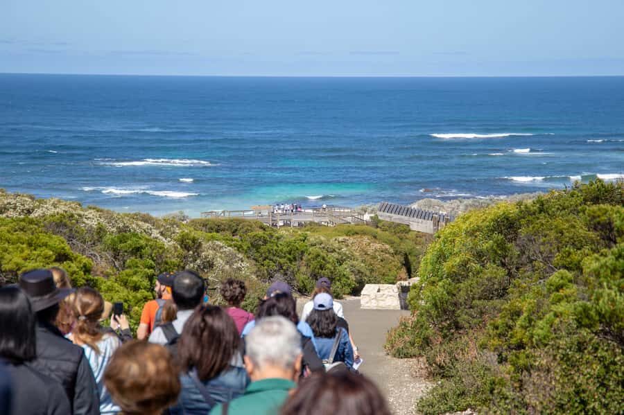Kangaroo Island Full Day Experience by Ferry Including Lunch - The 2-course lunch in the bush: not just fuel, a proper break