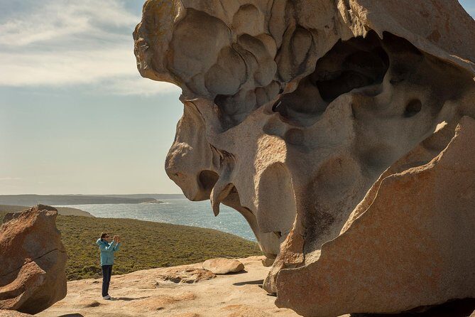 Kangaroo Island in a Day Tour from Adelaide - Penneshaw orientation: where the island day actually begins