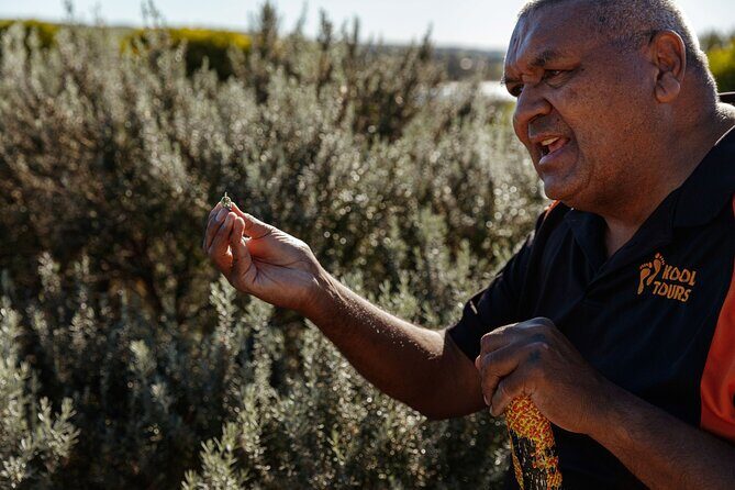 Kangaroo Island Indigenous Tour (1 Day) - Key things to know before you go