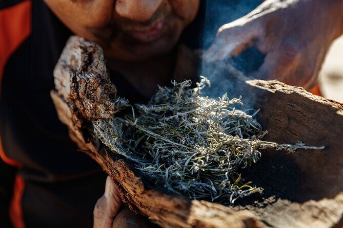 Kangaroo Island Indigenous Tour (1 Day) - Penneshaw first: the tour begins with bush foods and meaning