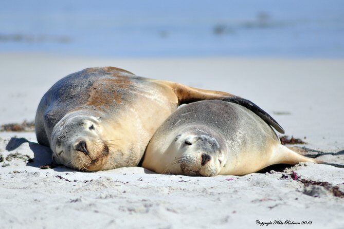 Kangaroo Island Indigenous Tour (1 Day) - Vivonne Bay lunch: a meal tied to Nurrunderi and the spirit world