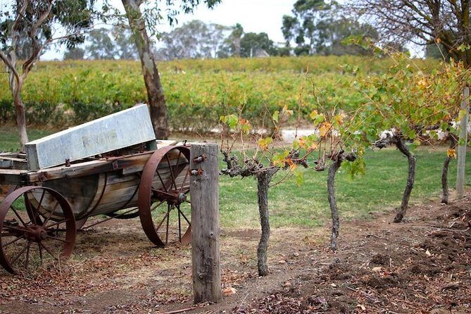 Maggie Beer Farm - Barossa Valley Regional Tour - Price and Value: What You Pay For vs What You’ll Still Spend