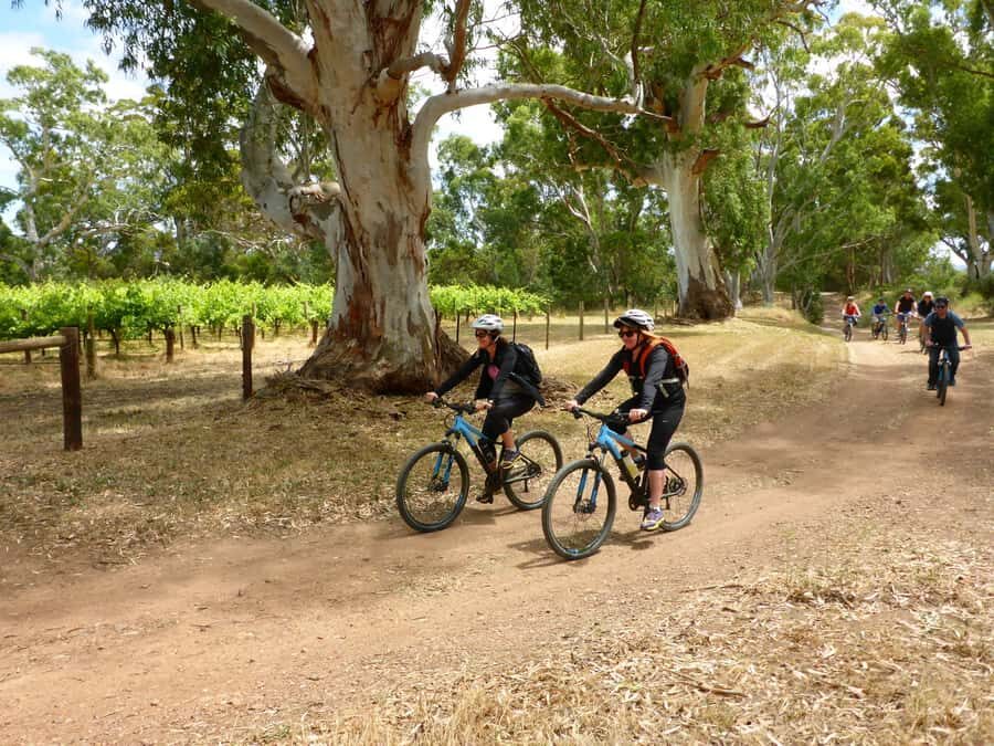 Mclaren Vale Hills Vines and Wines Bike Tour from Adelaide - Timing, days of operation, and what to plan around