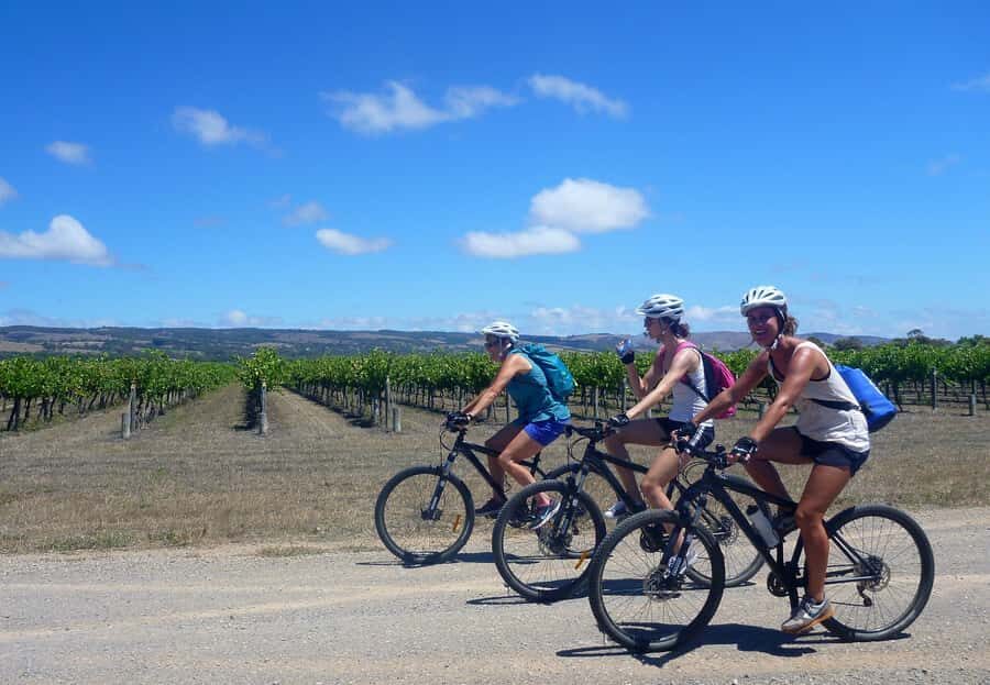 Mclaren Vale Hills Vines and Wines Bike Tour from Adelaide - From Adelaide pickup to Kuitpo Forest: the day’s rhythm