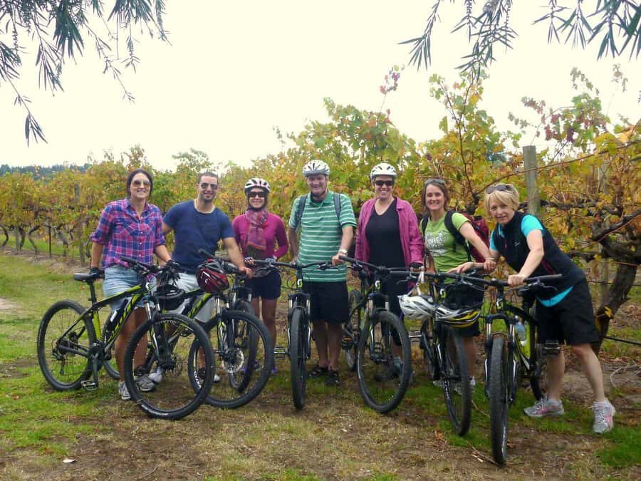 Mclaren Vale Hills Vines and Wines Bike Tour from Adelaide - Wildlife and forest riding: the fun you don’t have to plan