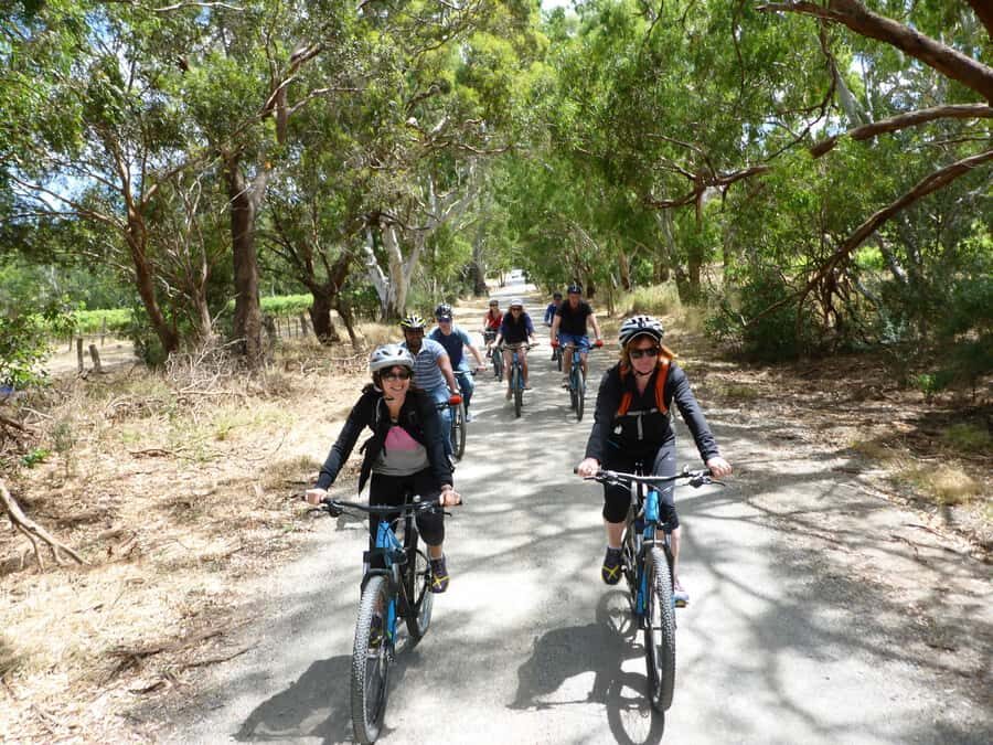 Mclaren Vale Hills Vines and Wines Bike Tour from Adelaide - Willunga Hill descent: where the scenery changes fast