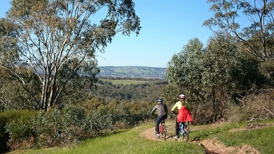 Mclaren Vale Hills Vines and Wines Bike Tour from Adelaide - Wine tastings in McLaren Vale: how the stops fit together