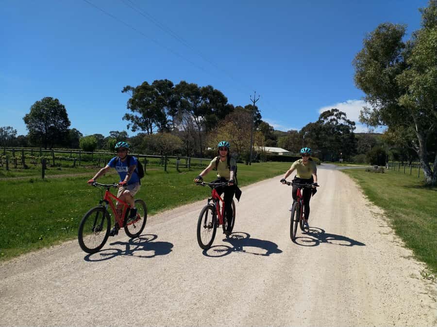 Mclaren Vale Hills Vines and Wines Bike Tour from Adelaide - Transport and carrying wine: a small perk with big payoff