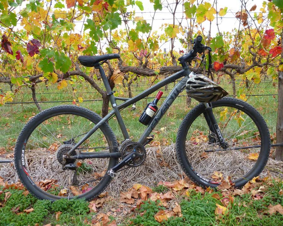 Mclaren Vale Hills Vines and Wines Bike Tour from Adelaide - The bike setup: mountain bike basics that matter