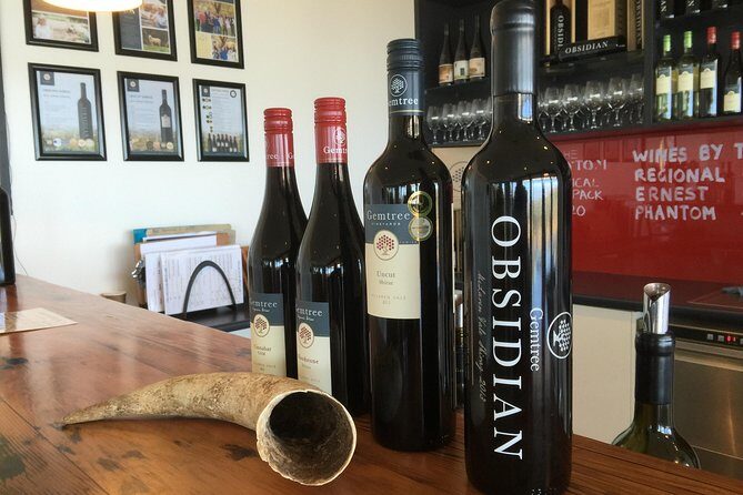 McLaren Vale Private Luxury Wine Tour - Full Day - Who should book this tour (and who might want a different style)