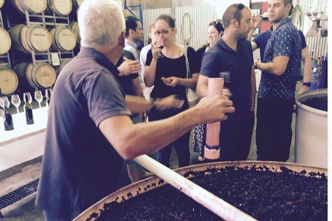 McLaren Vale Private Wine Tour - Why a McLaren Vale private tour from Adelaide feels different