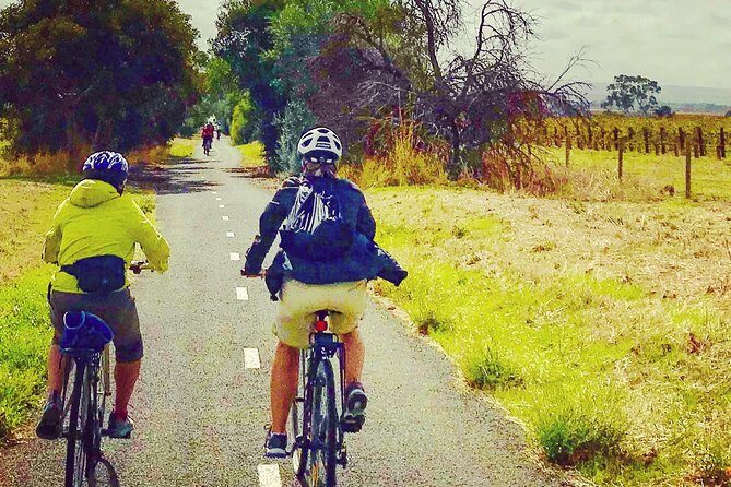 McLaren Vale Shiraz Trail Cycling Tour from Adelaide - Why the McLaren Vale Shiraz Trail fits a wine-and-bike day