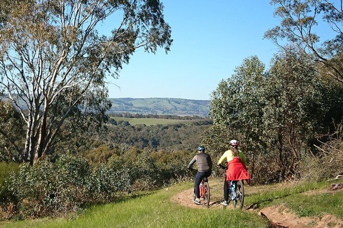 McLaren Vale Wine Tour by Bike - The final stop: more wine, or a microbrewery twist