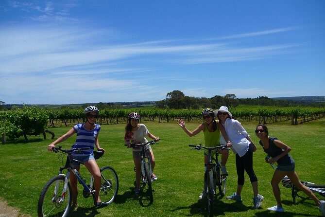 McLaren Vale Wine Tour by Bike - Bikes, helmets, and small-group control