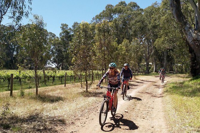 McLaren Vale Wine Tour by Bike - Price and value: why $142.73 can make sense